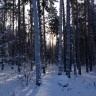 Тогучинский район НСО2032