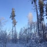 Тогучинский район НСО2033